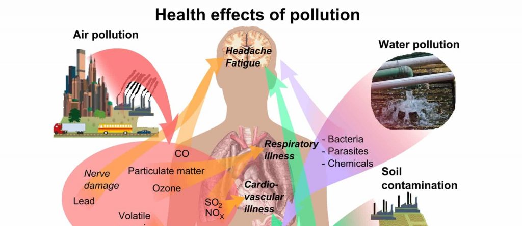 Dioxin - poison in the air, water and food