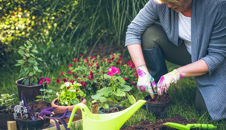 Gardening for Good Health